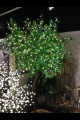 880 LED 7' GREEN LEAF MAPLE TREE, WARM WHITE LEDS, NATURAL TRUNK [391306]